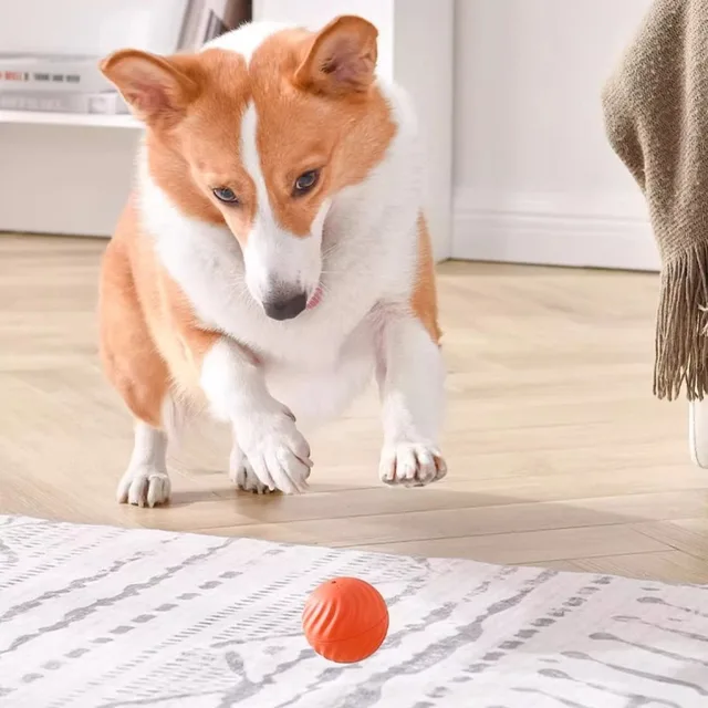 Smart Interactive Dog Toy Ball 5