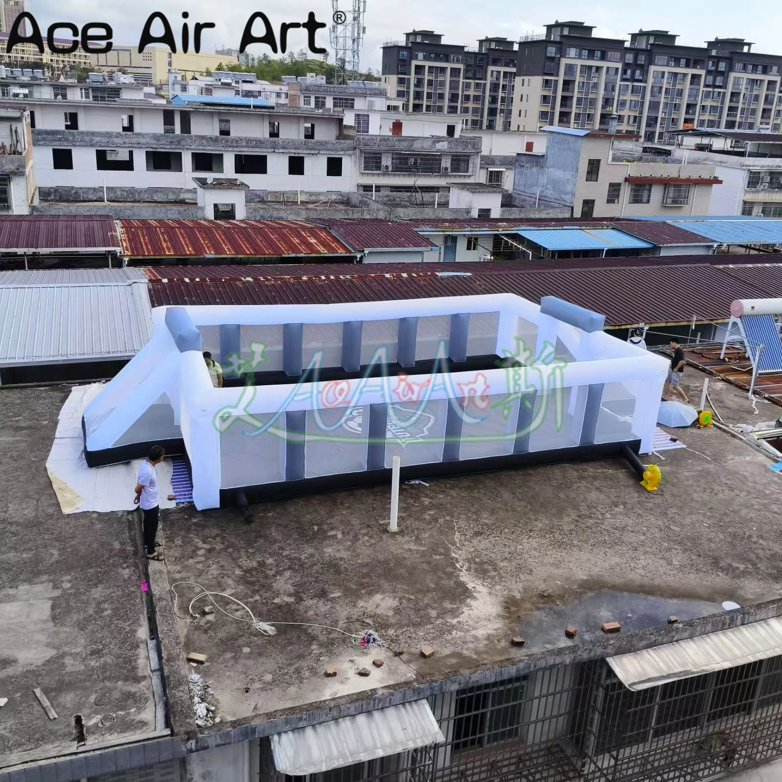 adestramento – Se Meu Pet Falasse…, image size:1600x1600