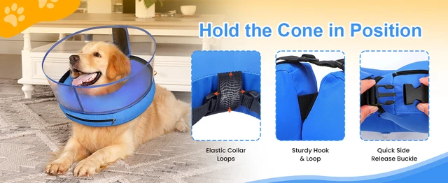 Donut Cone Alternative To Head Cone For Dogs Dog Donut Collar