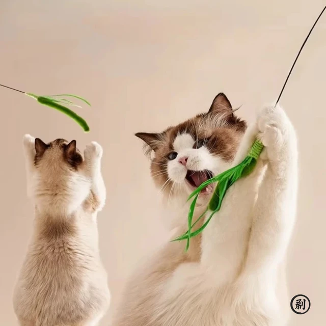Cat Interactive Toy Tail Grass Cats Sage Feather Toy Long Pole Kitten Teasing Stick Bite Resistant Sound Toy Cat Supplies 5