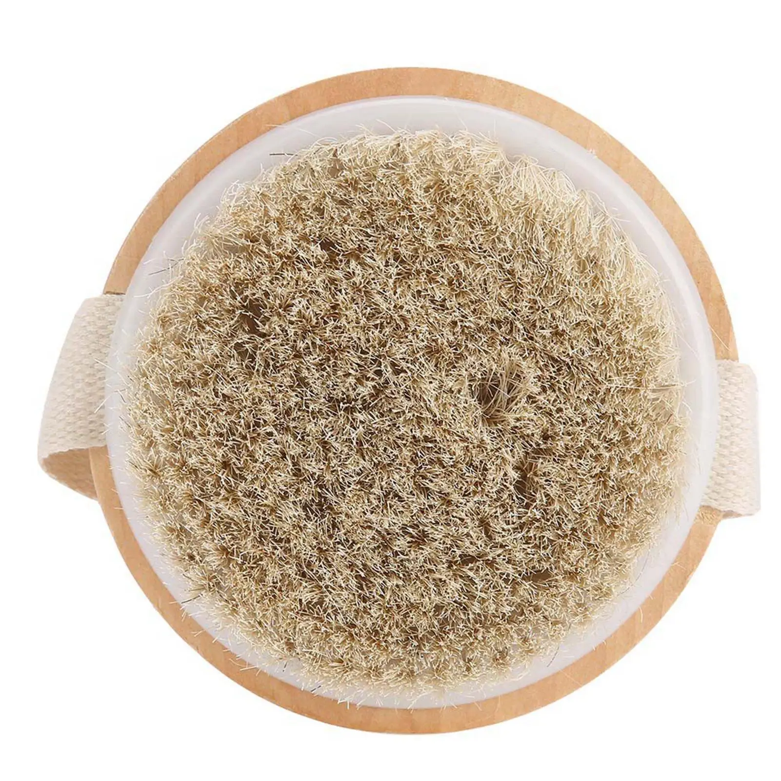 Natural Boar Bristle Dry Body Brush with Wooden Handle & Back Strap for Exfoliating Skin &ndash; Ideal for Wet & Dry Use