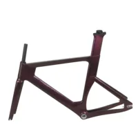 Gold Purple Chameleon Paint T800 Toray Carbon Fiber BSA 49/51/54/57/60cm Size Aero Track Frame TR013 With Front Brake Hole