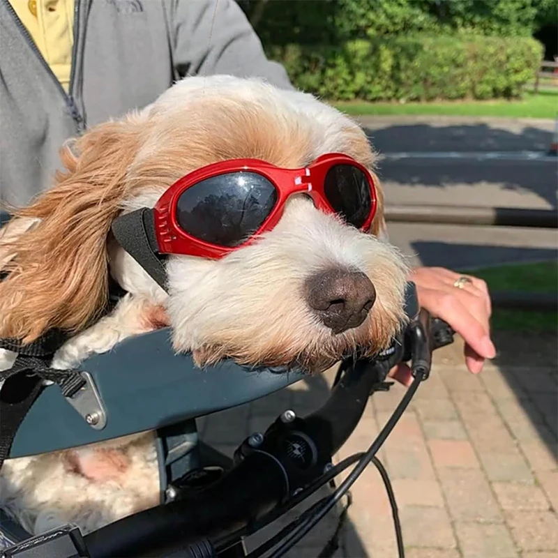 Gafas plegables para mascotas,  protector solar de verano a prueba de viento