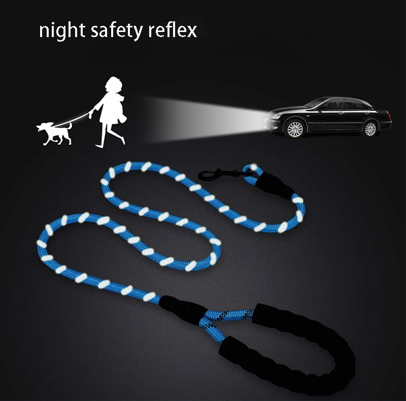 Pet Leash Image 3