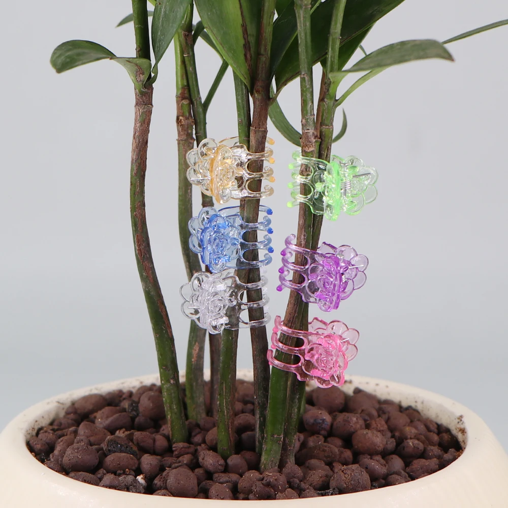Multi-Pack 6-Color Plant Support Clips for Garden and Climbing Vines