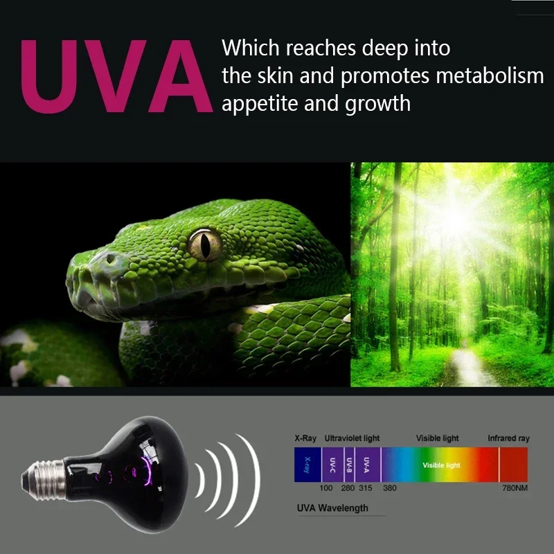 25W-100W Turtle Basking Uv Light Bulbs Reptile Uva Lamp Bulb Heating Lamps Turtles Lizards Reptiles Breeding Box Lighting Bulbs