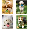 8pcs/pack Soft Stuffed Plush Balls with Squeakers Interactive Fetch Play for Puppy Small Medium Pets 6