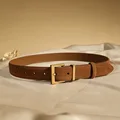 Burnt orange B