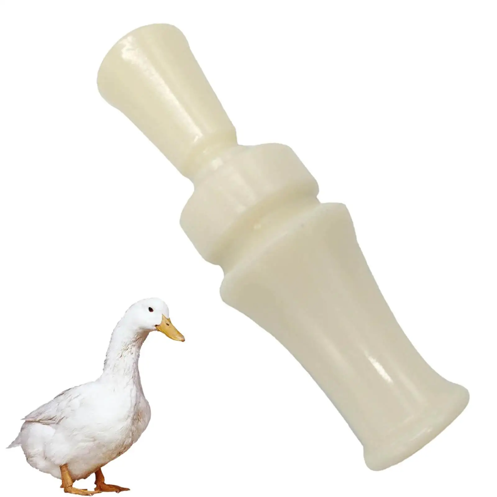 ûտ ŷ   ưư , ߿  ȭ