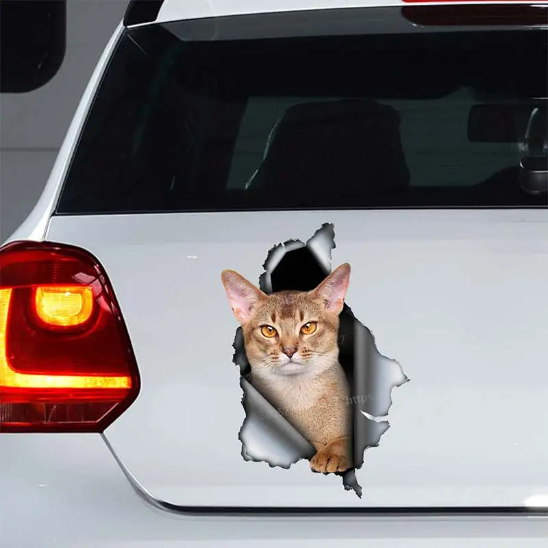 Cute Abyssinian Cat ,Bengal Cat  Car Stickers Car Window Decorative Waterproof Vinyl  Decal for Car Accessories Decor SH01