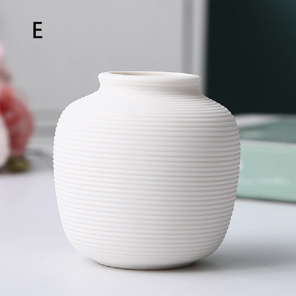 Elegant Ceramic Vases for Stylish Home Decor and Versatile Plant Display