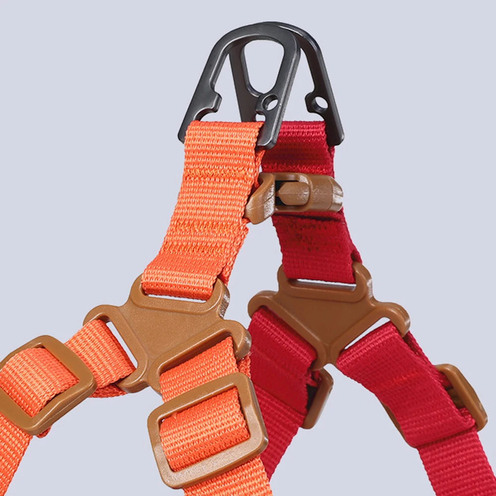 Small Dog Vest Harness Set 3