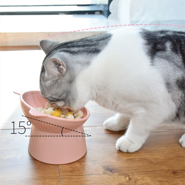 New Pet Cat Dog Bowl High Foot Dog Bowl 45° Neck Protector Cat Pet Food Water Bowl Anti-Overturning Binaural Pet Feeding Bowl 4
