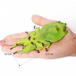 Realistic Insect Animal Miniature Figures Collection Set (Giant leaf insect)