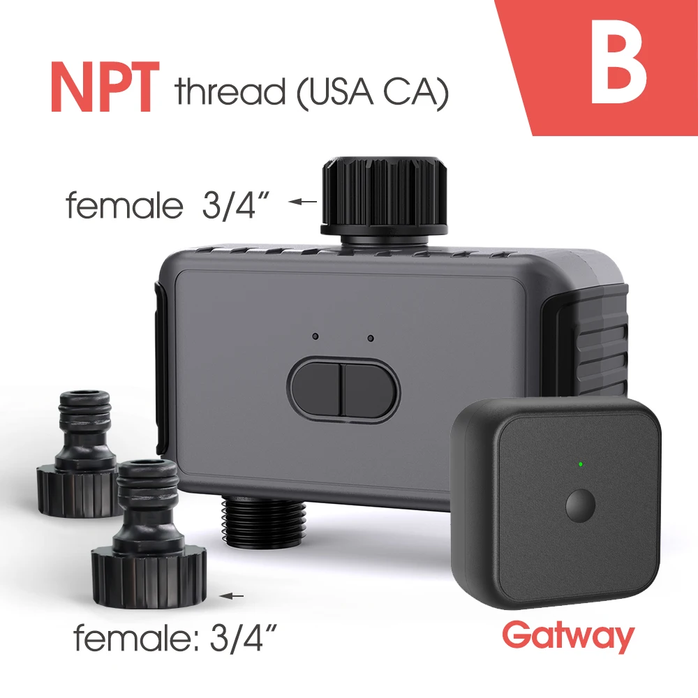 Timer NPT gateway