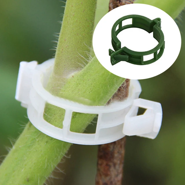 Növény Rögzített Növekedési Klip Hegymászó Szőlő Gyümölcs Műanyag Tartó Kerti Zöldség Tgarding Szerszámok És Felszerelések