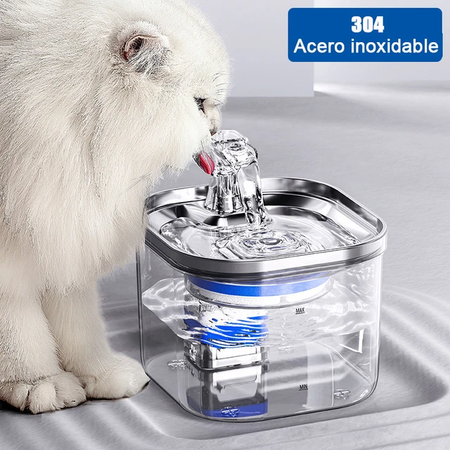 Dispensador automático de agua de acero inoxidable para gatos, dispositivo  que circula agua corriente para mascotas, Gato elegante, tazón para beber para  perros - AliExpress