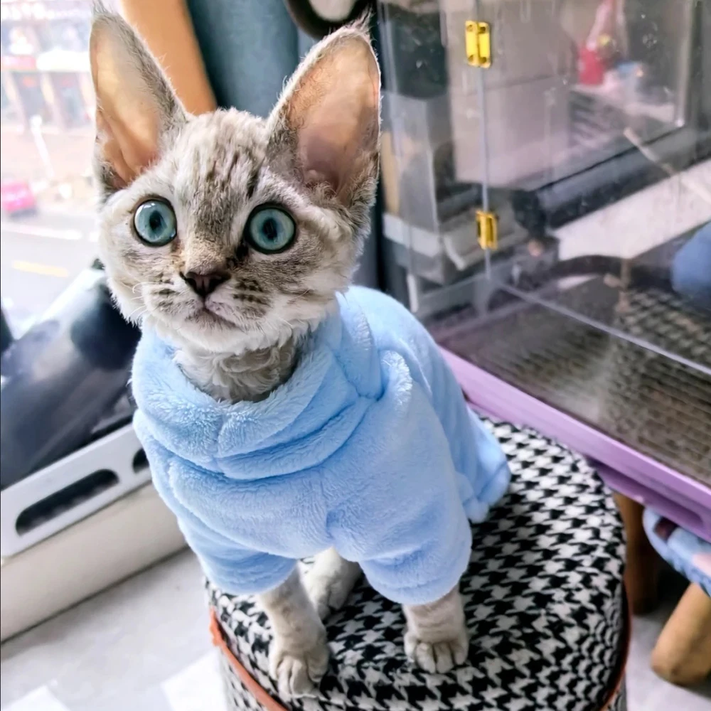 따뜻하고 두꺼운 스핑크스 고양이 옷 겨울용 펫 스웨터 페르시안 친칠라 후디 강아지 의류 고양이 옷