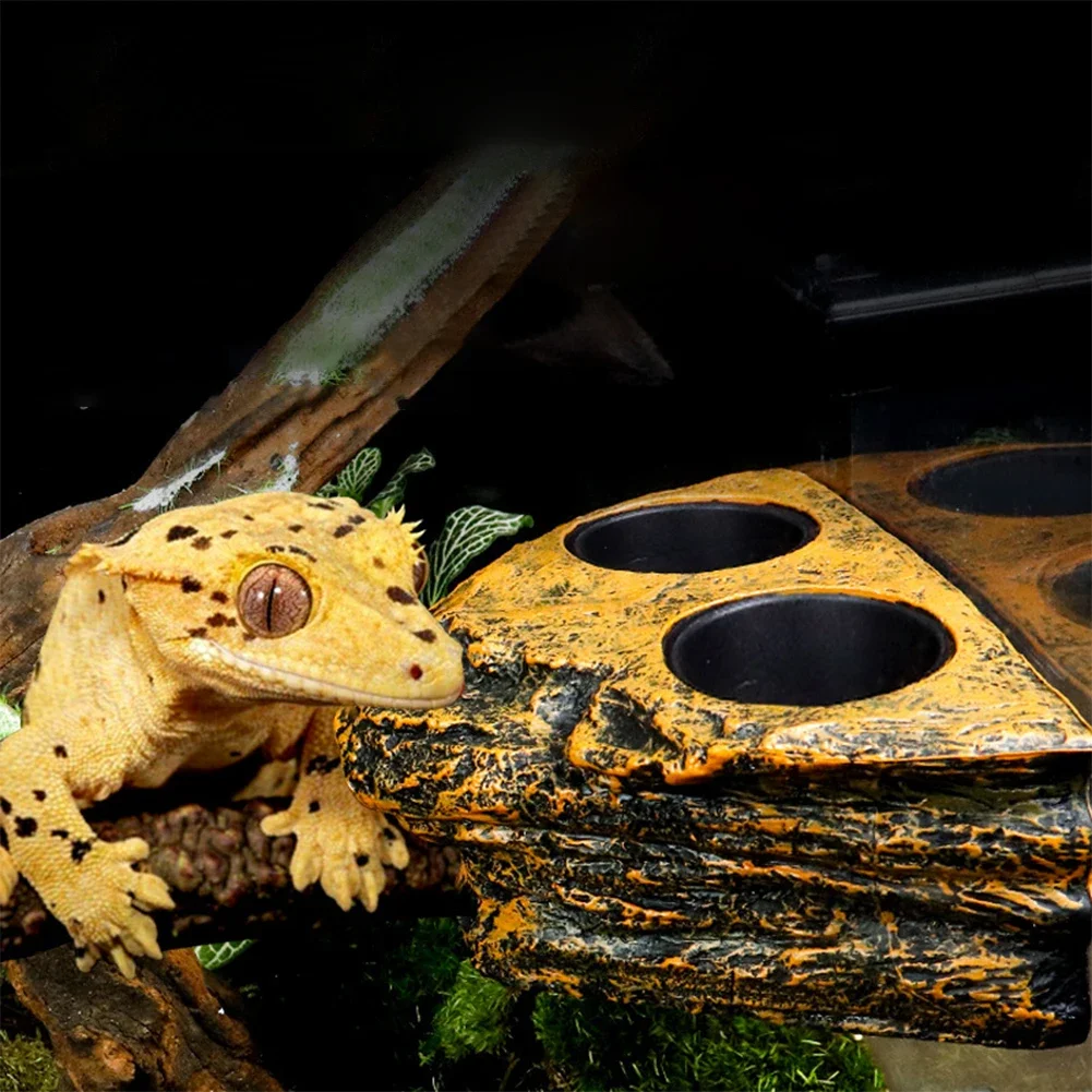 Magnetic Reptiles Amphibians Feeding Ledge Hanging Food Water Dish Feeding Bowl For Gecko Lizards Tree Frogs Chameleons Magnetic Reptiles Amphibians Feeding Ledge Hanging Food Water Dish Feeding Bowl For Gecko Lizards Tree Frogs Chameleons