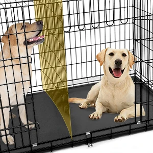 dog crate