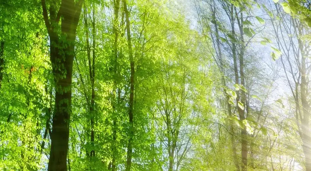 melhorias domésticas