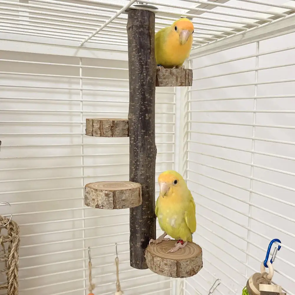 BirdPerchStandToyHangingMultiStandPerchNaturalWoodParrot