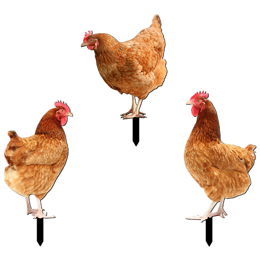 

3 Pcs Chicken Yards Garden Stake Insert Decor Lawn Ornament Sign Outdoor Hen
