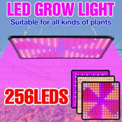 2000W LED Grow Light Full Spectrum Quantum Board Indoor Plants Hydroponics Growth Lamp For Flower Seeds Cultivation Growbox