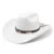 western Men's cowboy hat Cowboy woman jazz gentleman hat winter accessories free shipping Country elegant party panama 2023 new 8