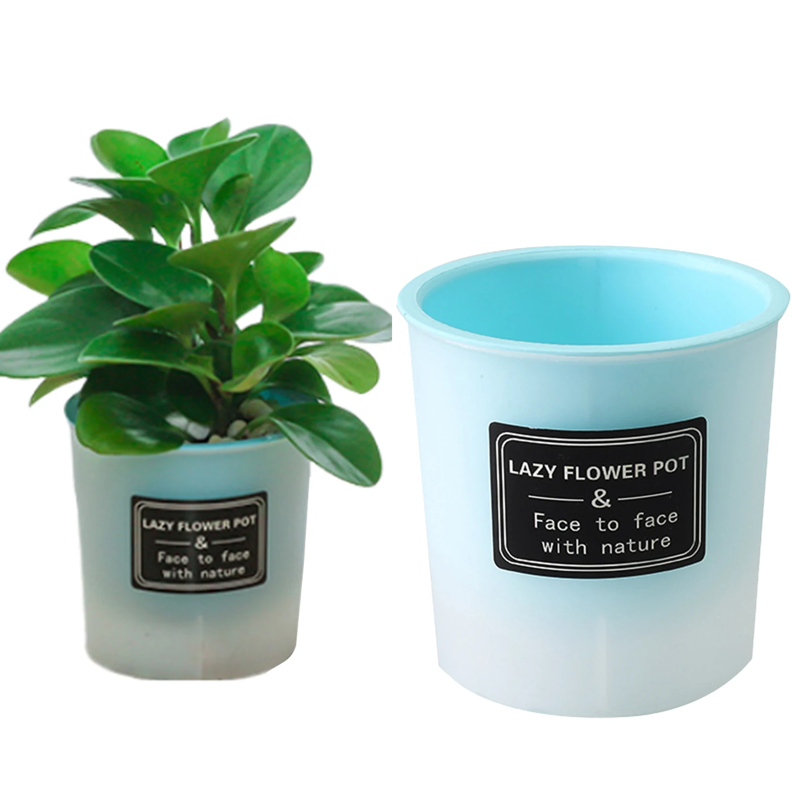 Translucent Detachable Self-Watering Flower Pot with Enhanced Drainage