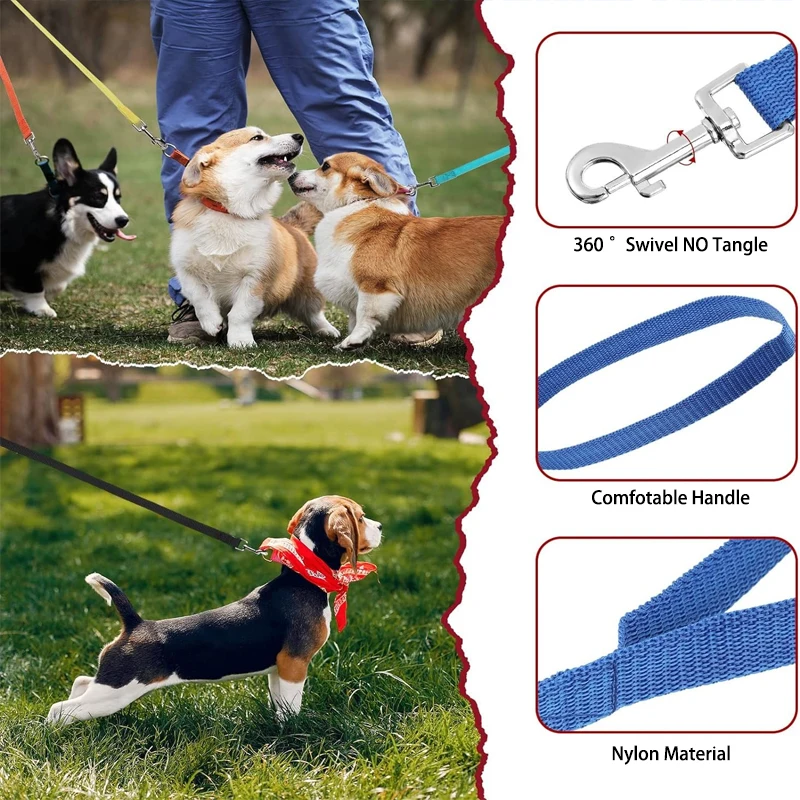 Training Dog Leash 2