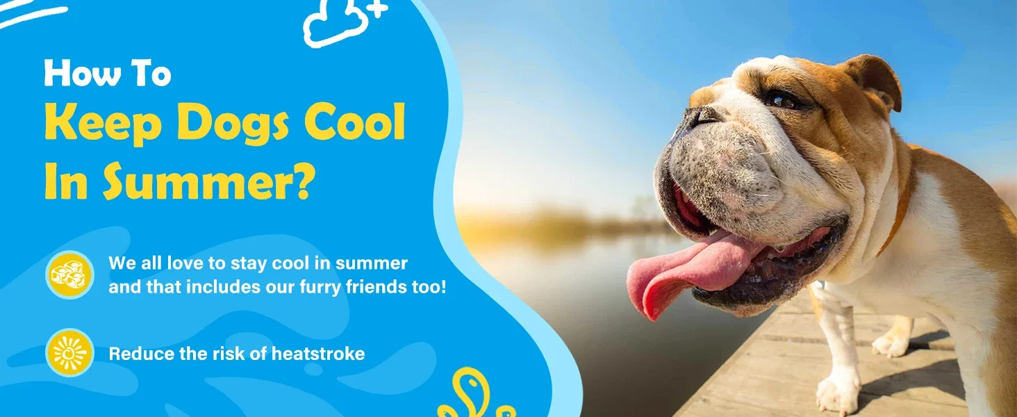The pool dog can also be used as an outdoor toys baby and 4 year old outdoor toys girl in garden.