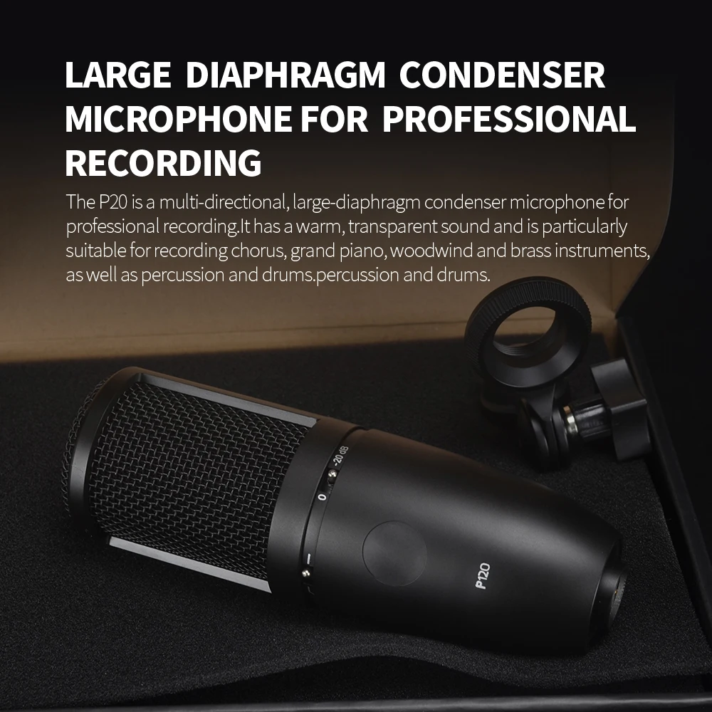 AKG-P120 콘덴서 캡슐 마이크, 고성능 범용 녹음 마이크, P120