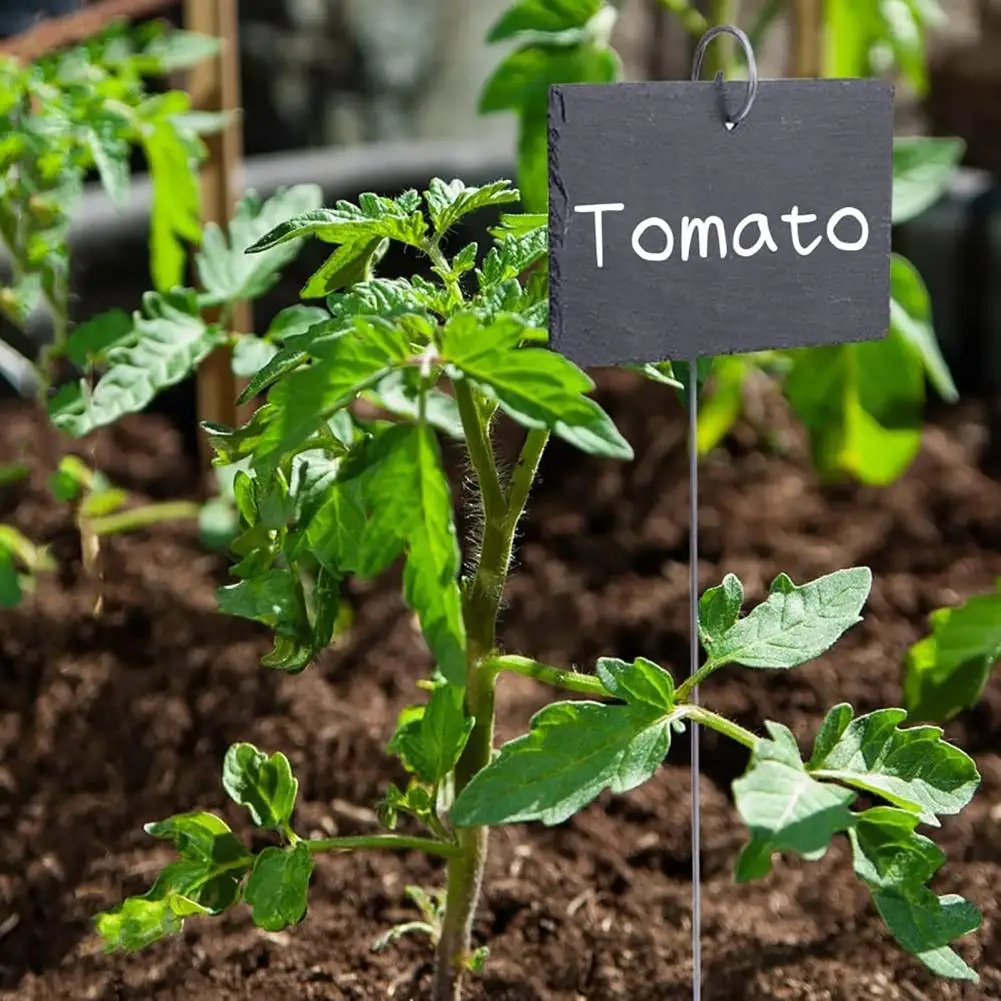 20PcsPlantLabelHooksHighStrengthRustproofCorrosionResistant