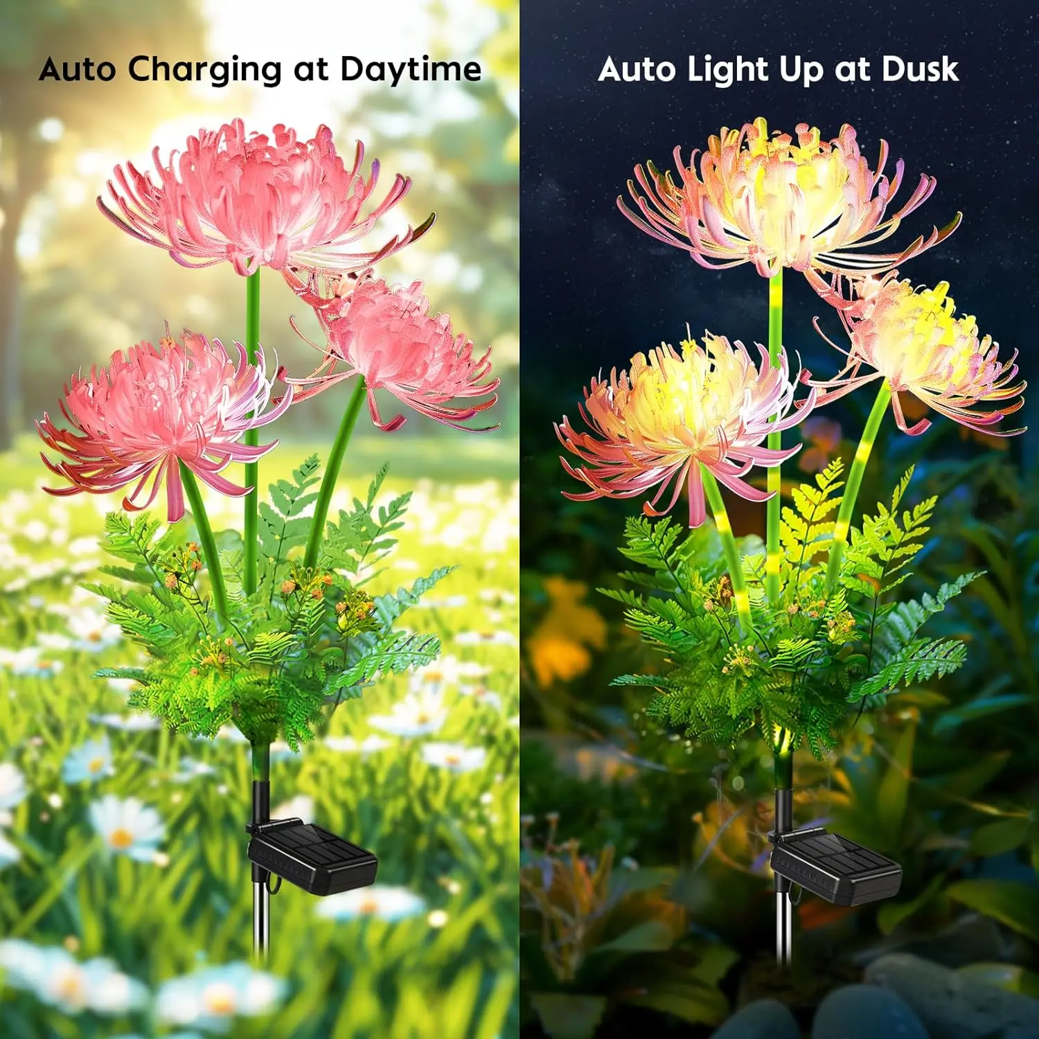 Outdoor IP65 Waterproof Garden Lights LED Solar Flower Light for Pathway Yard Lawn Backyard Home Decoration Solar Landscape Lamp 5