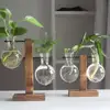 Hydroponic Planter with Wooden Stand Plant Propagation Station Bulb Glass Hydroponic Plant Vase for Home Office Garden Decor 2