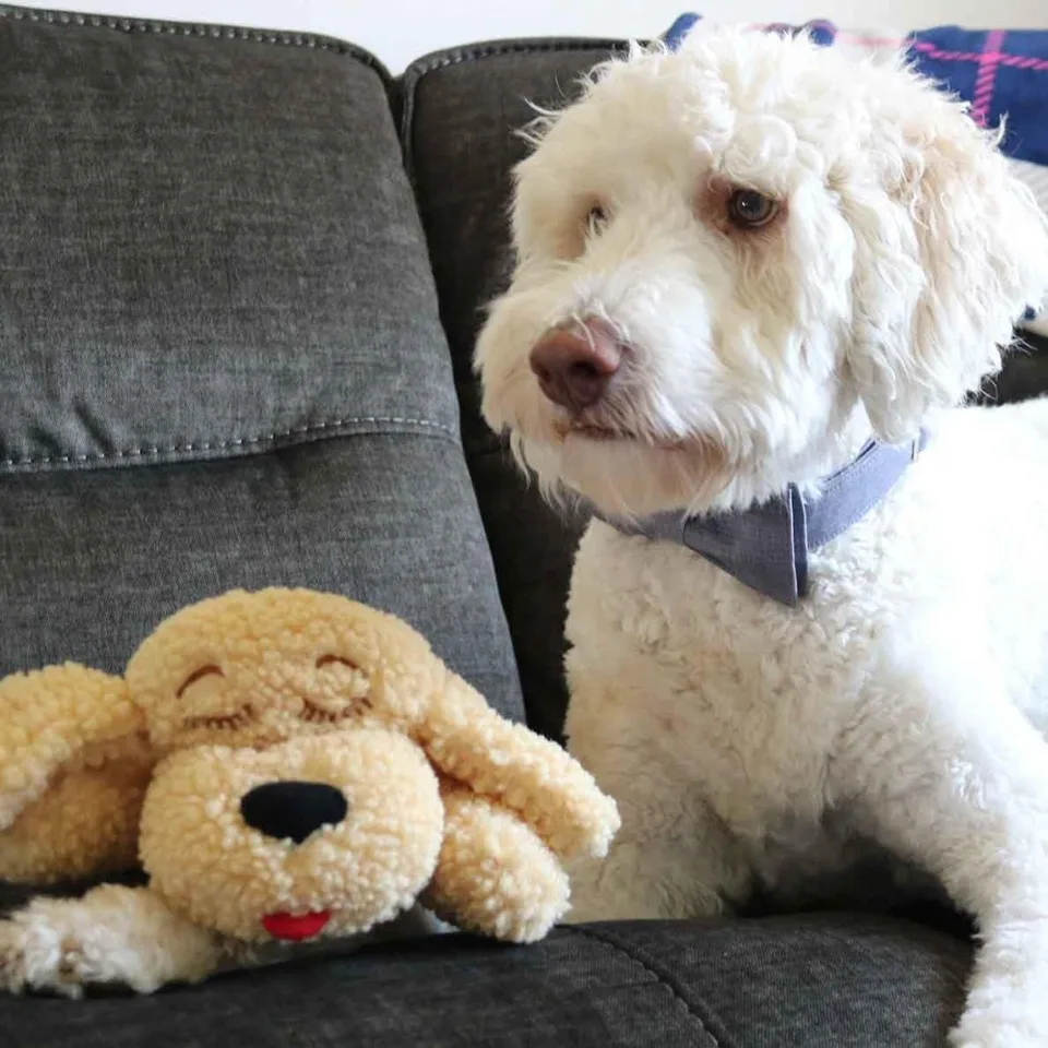 Heartbeat Snuggle Puppy Toy for Dogs