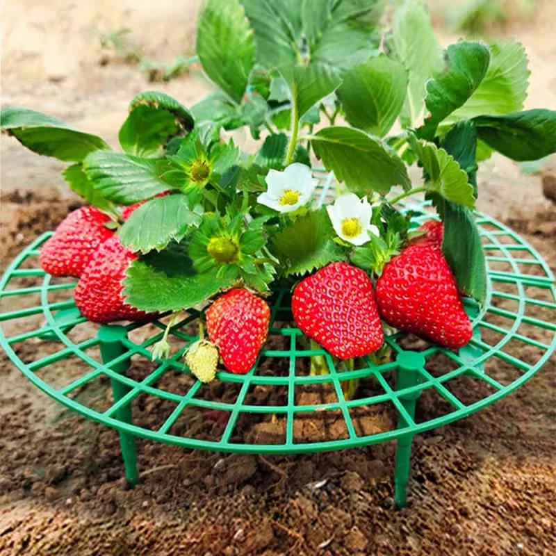 Plastic Strawberry Supports Anti-rot Strawberry Growing Racks Holder Plant Stand Home and Garden Plants Accessories