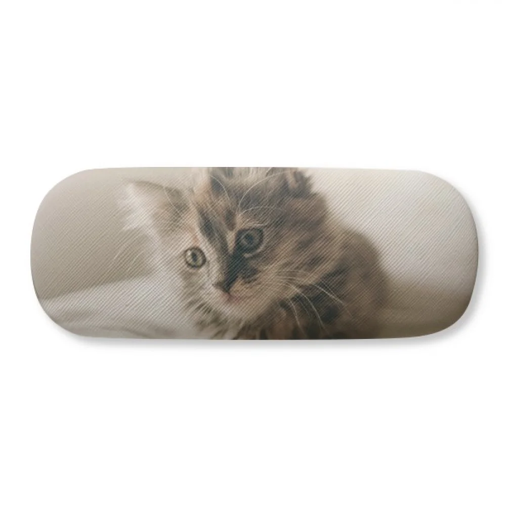 

Animal Kitty Gray Cat Photograph Glasses Case Eyeglasses Hard Shell Storage Spectacle Box