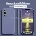 Lavender Grey