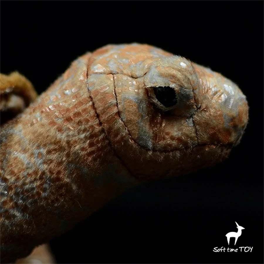 Galapagos Tortoise High Fidelity Anime Cute Plushie Turtles Plush Toys Lifelike Animals Simulation Stuffed Doll Kawai Toy Gifts 5