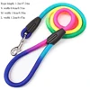 New puppy lead rope Teddy small and medium-sized dog colorful nylon round lead rope 1.2m dog walking accessories Pet supplies 6