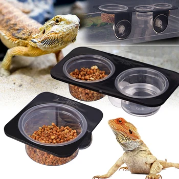 Suction Cup Reptile Feeder Bowl 1