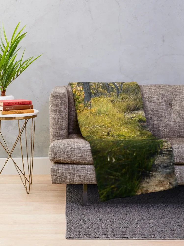 �ν� ��ŷ ���ο� ���, �Ƹ��ٿ� ��� �� ���