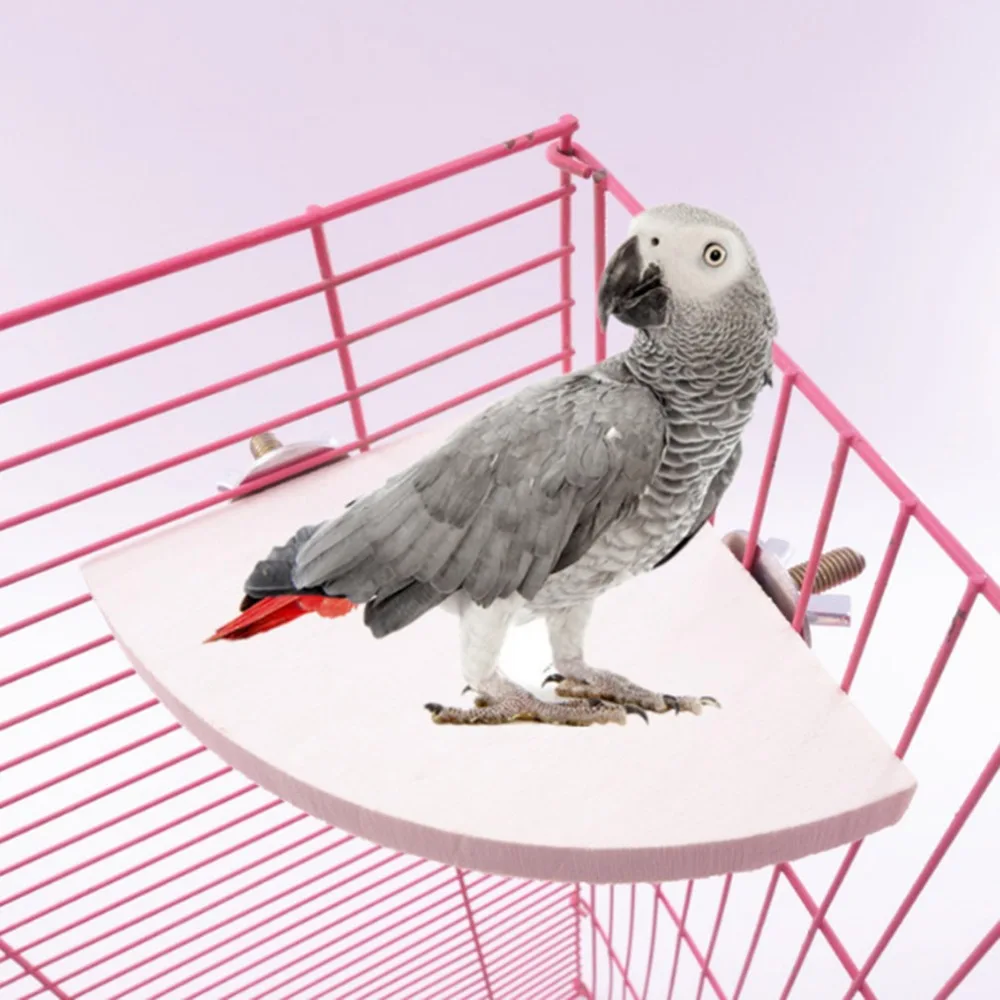 Bird Perch Stand Fan-shaped Wooden Rack for Bird Cage Small Animal