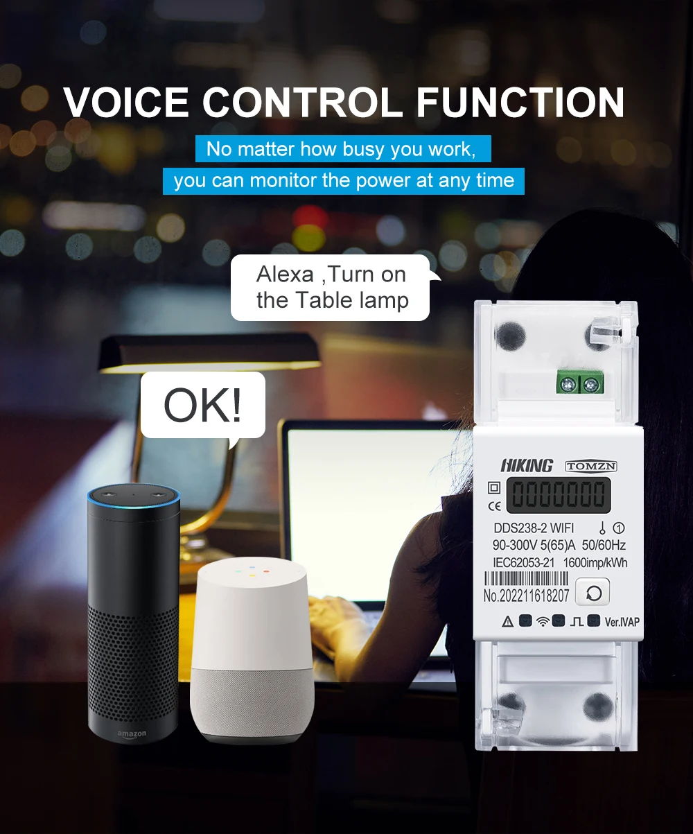 Single Phase 65A Din Rail WIFI Smart Energy Meter timer Power Consumption Monito