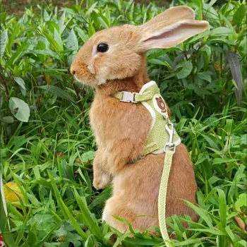 Very Cute Bunny Rabbit Harness and Leash Set