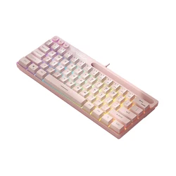 RGB Backlit 61 - Key Compact Mechanical Touch - Feel Gaming Keyboard (Pink - RGB  Effect)