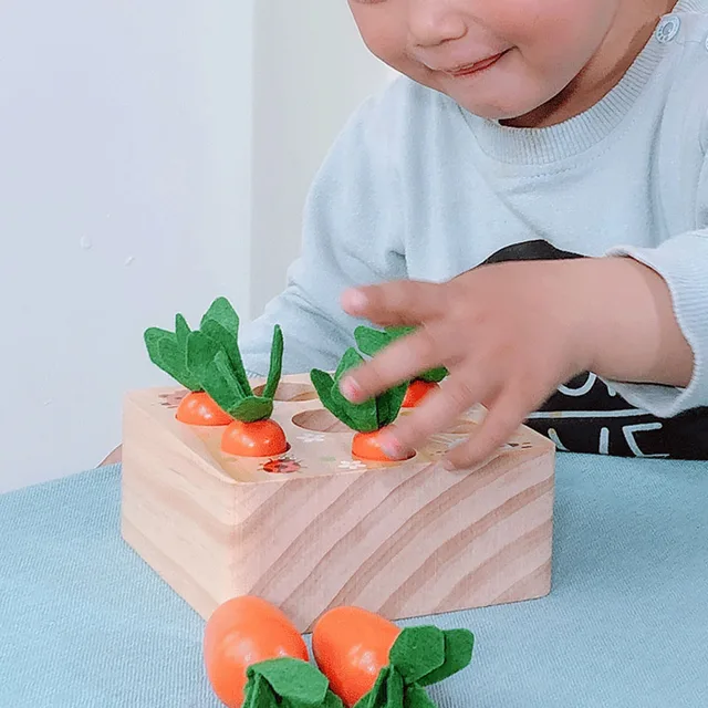 Wooden Toys Baby Montessori Toy Set Pulling Carrot Shape Matching Size Cognition Baby Toy Educational Toy For Children Kids Gift 5