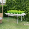 Hydroponic System Grow Kit 36 Sites 1 Layer Vegetable Plant Cultivation Tool Bracket for Garden 1